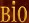  bio 